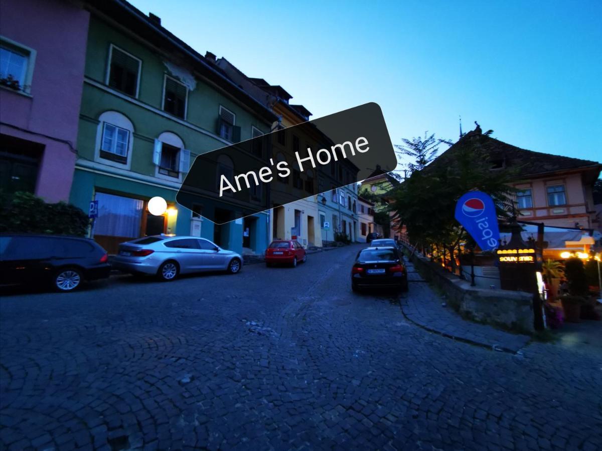 Ame'S Home Sighişoara Esterno foto